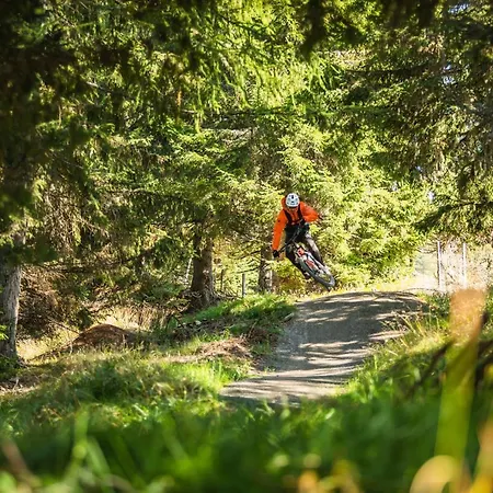 Gipfelglueck - In & Out Apartment Bad Kleinkirchheim